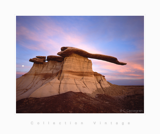 King of Wings Moonrise, Bisti Badlands - De Na Zin Wilderness, San Juan Country, New Mexico, USA